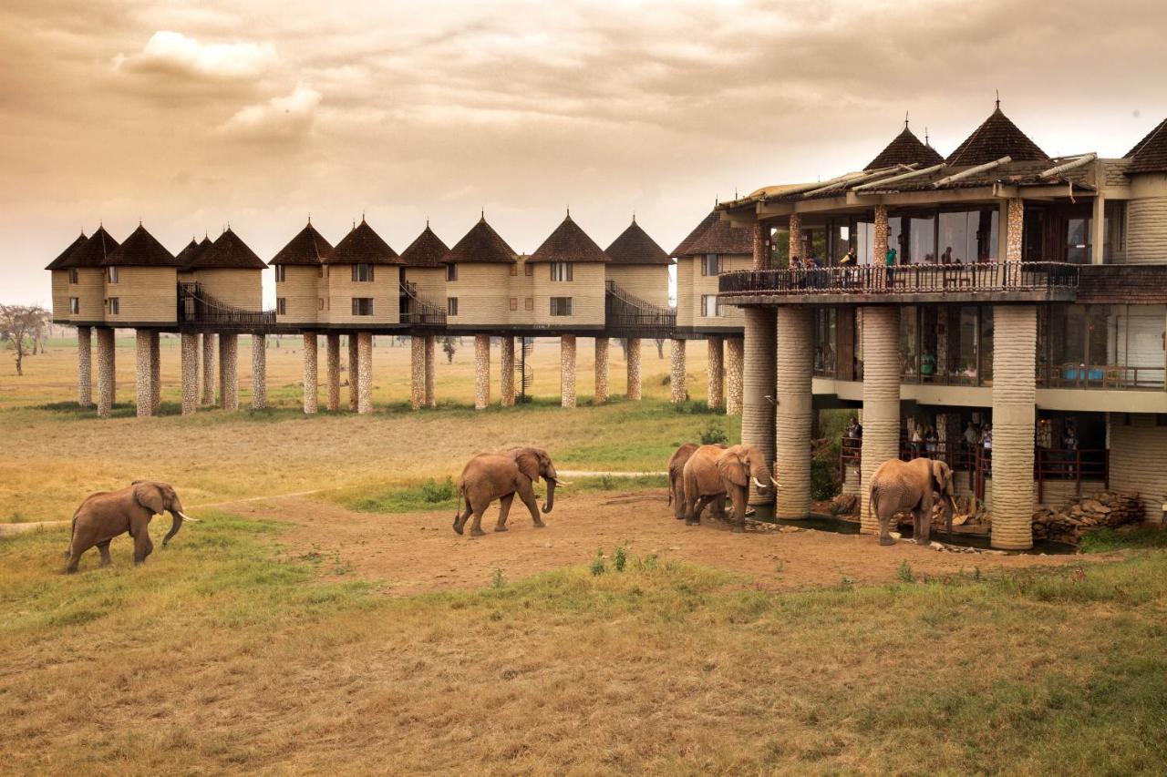 Tsavo West National Park and Sarova Salt Lick Game Lodge offers luxury accommodation place to explore the natural environment.