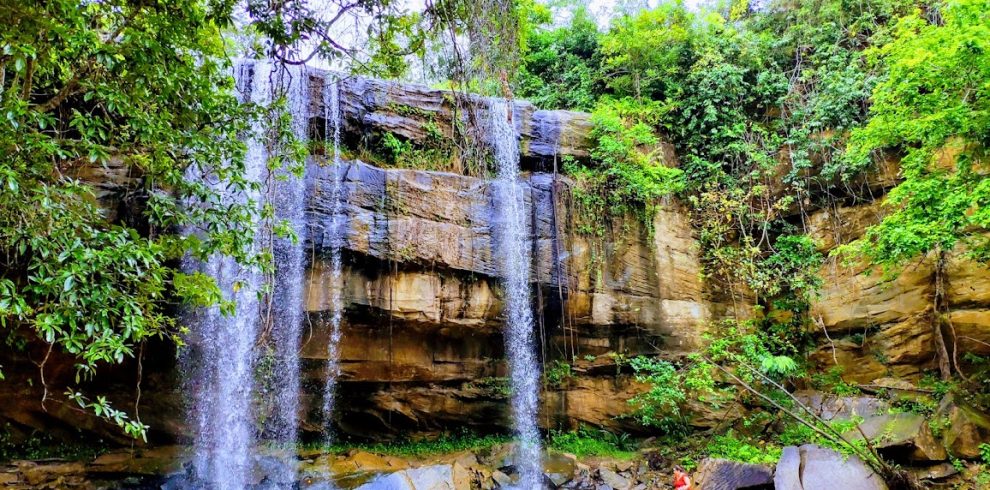 Shimba Hills National Reserve Full Day Tour - Sheldrick Falls & The Sable Antelope Paradise