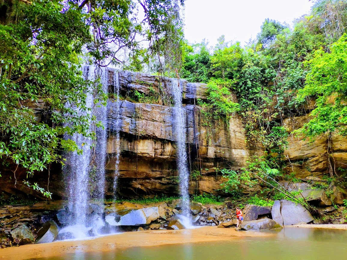 Shimba Hills National Reserve Full Day Tour - Sheldrick Falls & The Sable Antelope Paradise