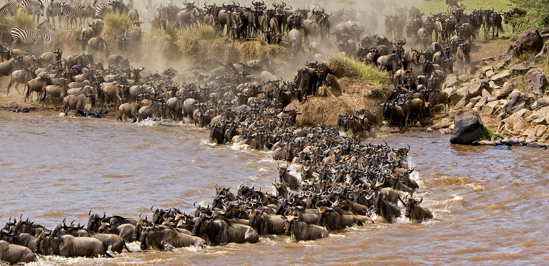 Maasai Mara Safari Package, Holidays in Kenya Almasi Tours and Safaris