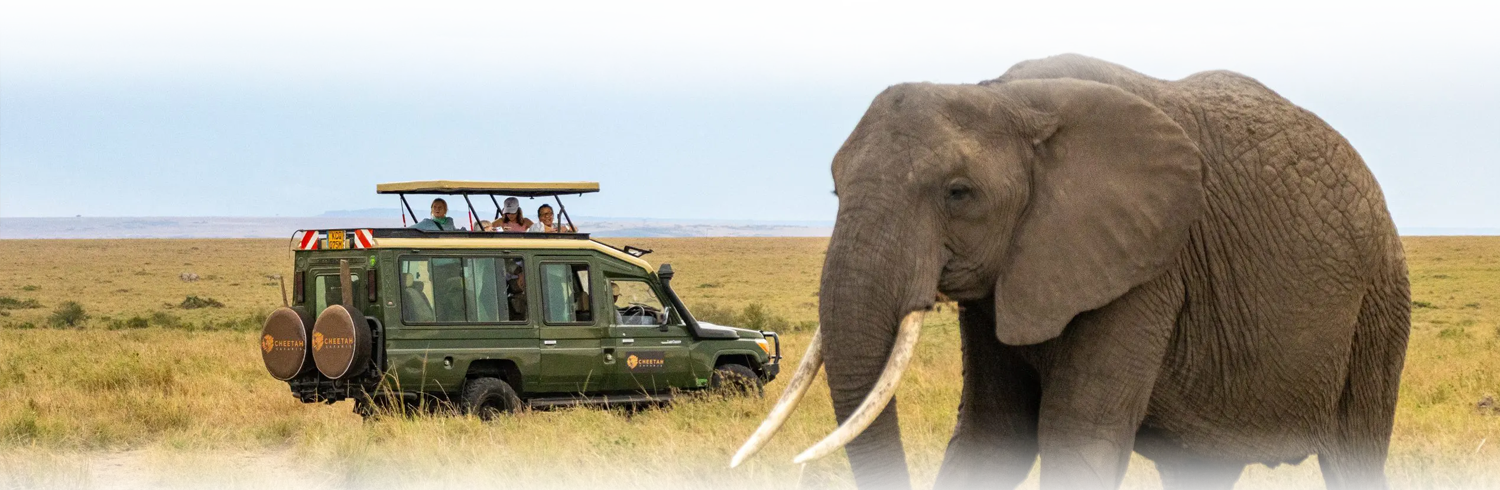 Almasi Tours and Safari Best #1 Amboseli National Park Day Tour by Almasi Tours and Safaris Kenya