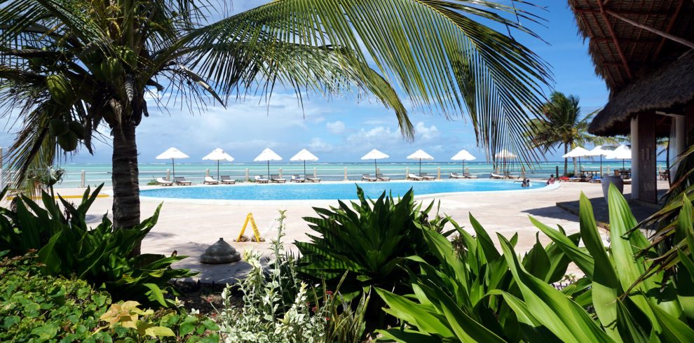Best #1 Watamu Tour, Swim with Dolphins, Gedi Ruins,Mida Creek with Almasi Tours and Safaris