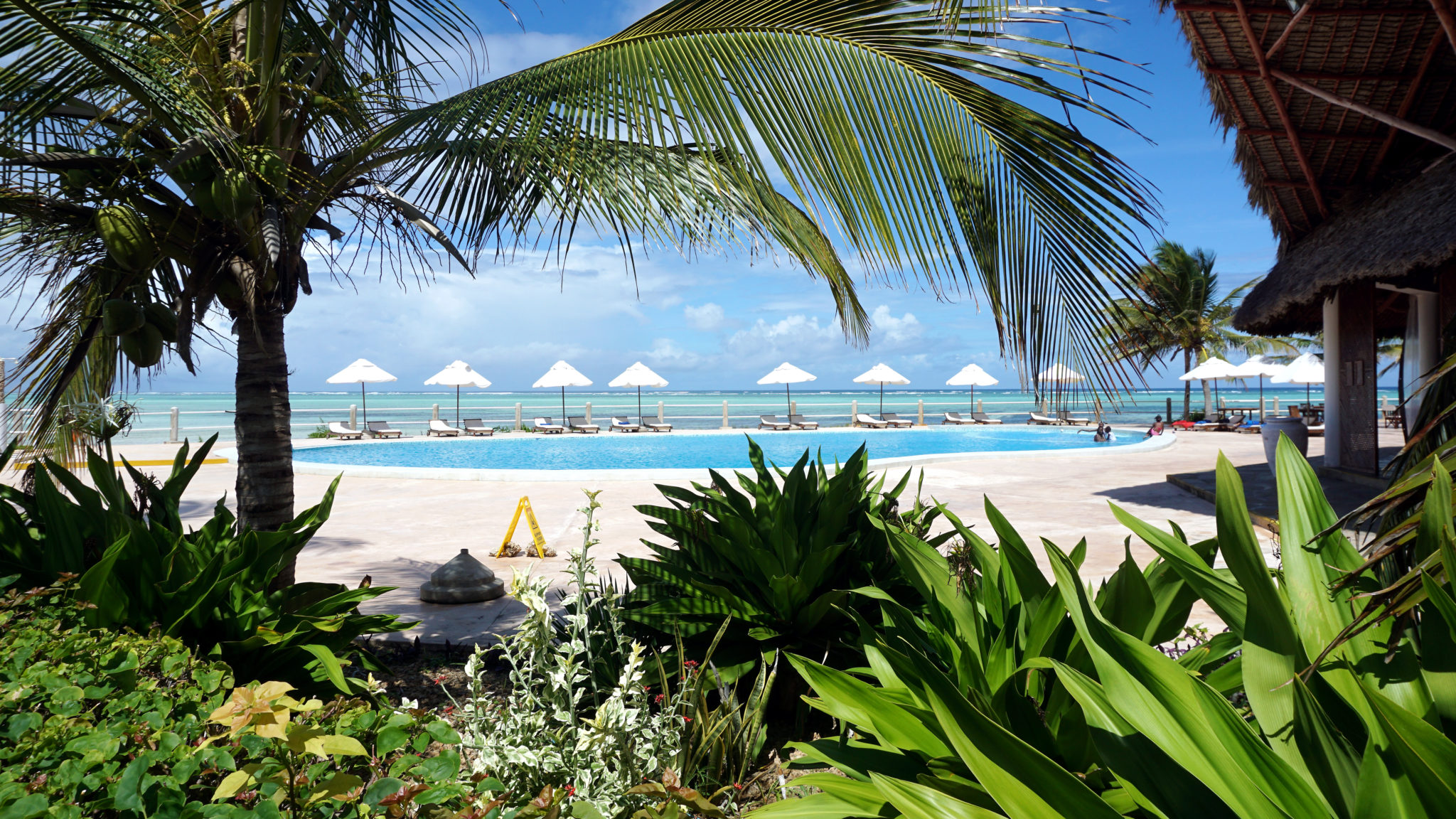 Best #1 Watamu Tour, Swim with Dolphins, Gedi Ruins,Mida Creek with Almasi Tours and Safaris