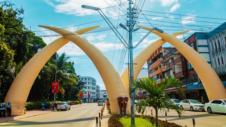 For coastal excursions from Mombasa, consider day trips to attractions like Diani Beach, Watamu Beach, or even a full-day trip to Tsavo East National Park. You can also explore cultural and historical sites like the Old Town, Fort Jesus Museum, and Haller Park. 